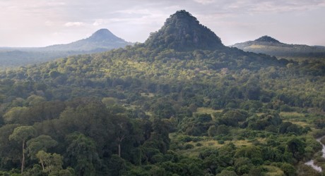 Miombo Restoration Alliance