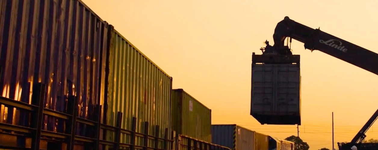 2023 Trafigura What We Do