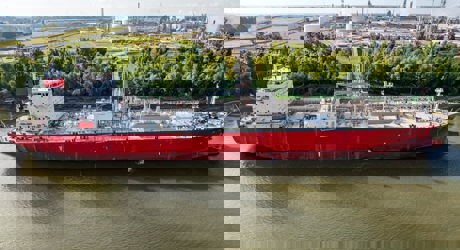 Image alt